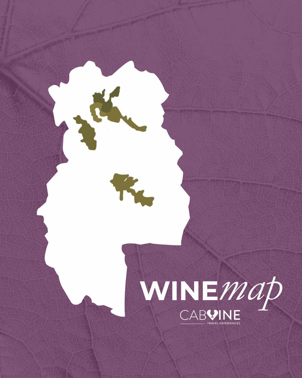 Wine Map Mendoza